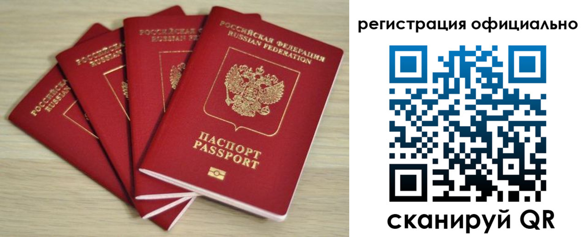 временная прописка в Ногинске